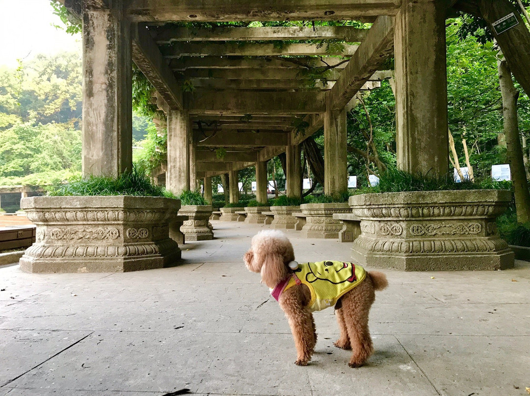 中山陵音乐台景点图片