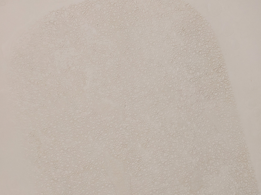 中心戴斯酒店主图