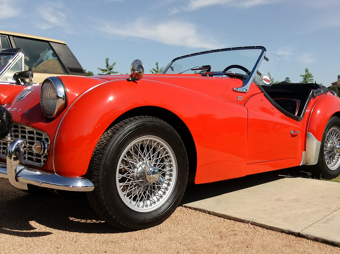 Evelyn's Park Conservancy-Bellaire必去景点