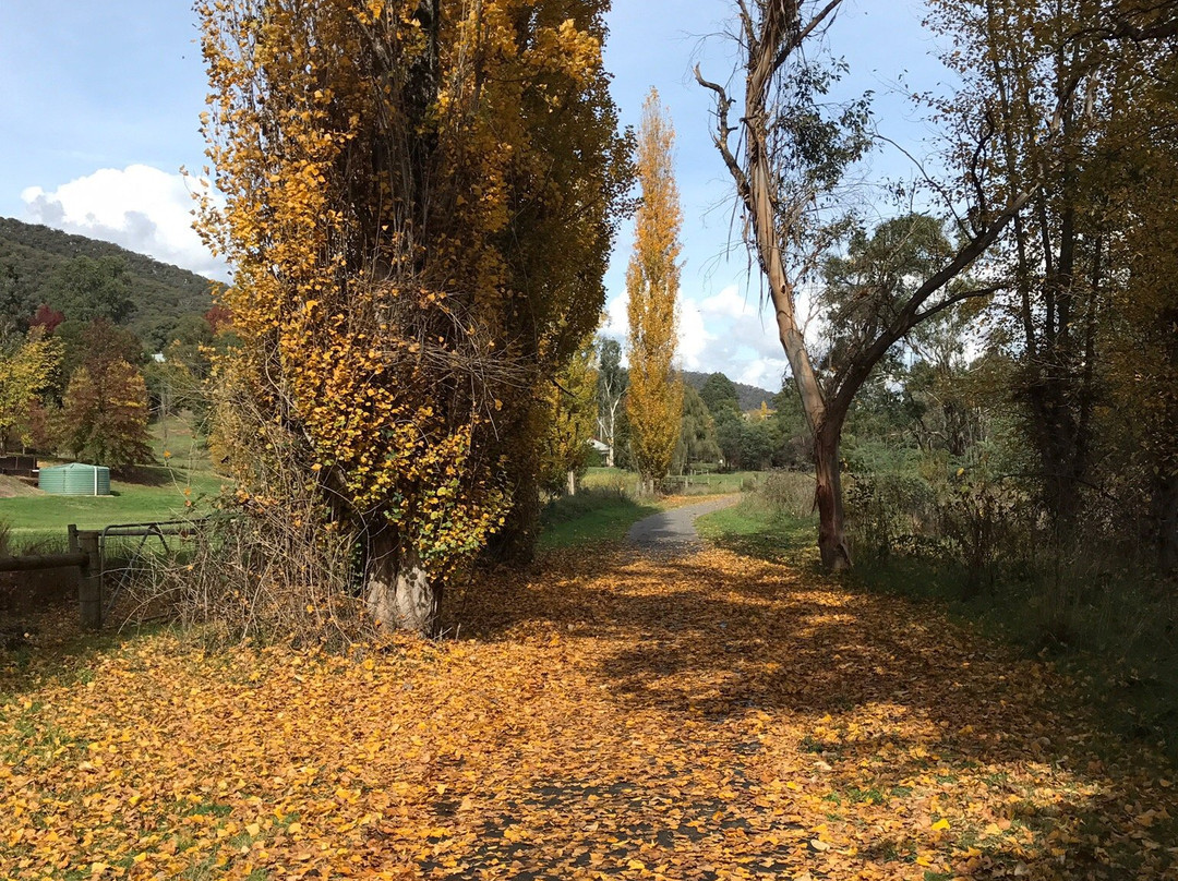 Mr Pom Juice & Sanga Bar