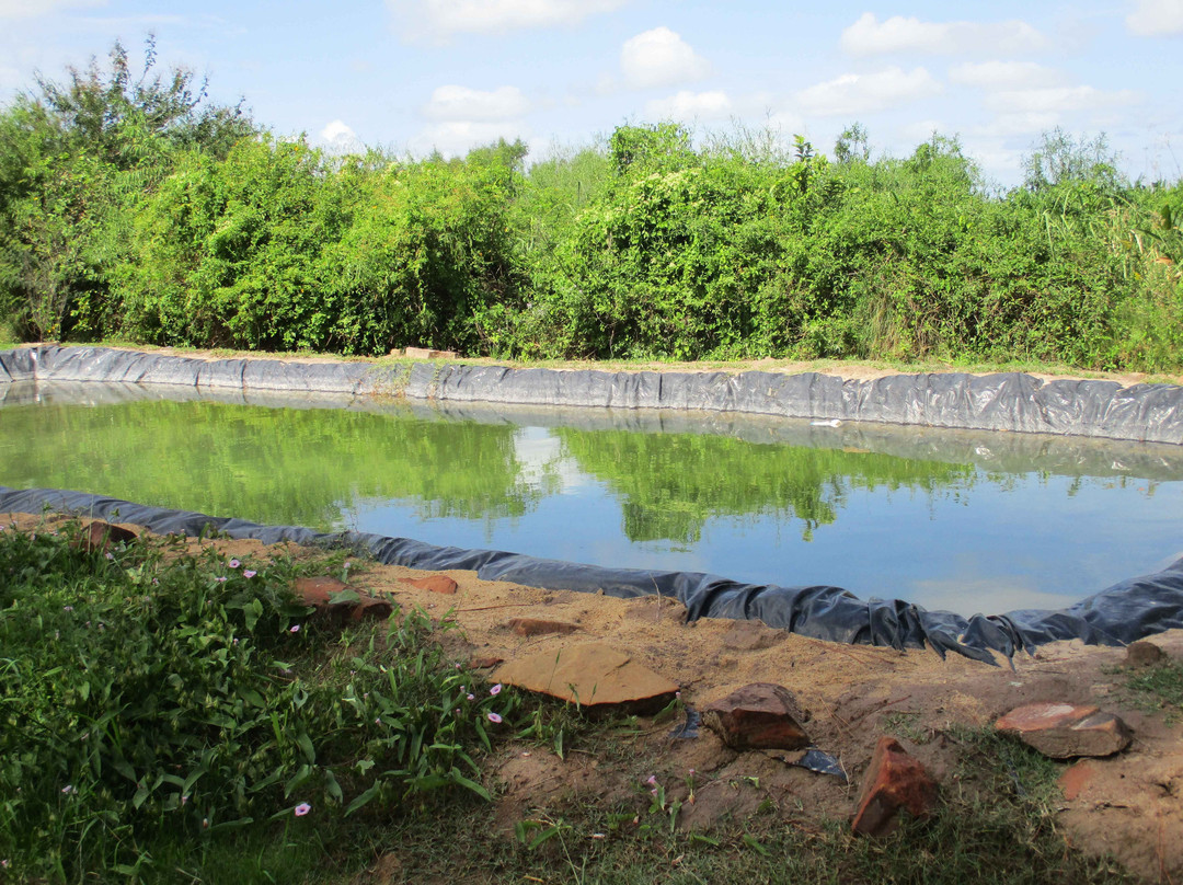 Jasy Hostería主图