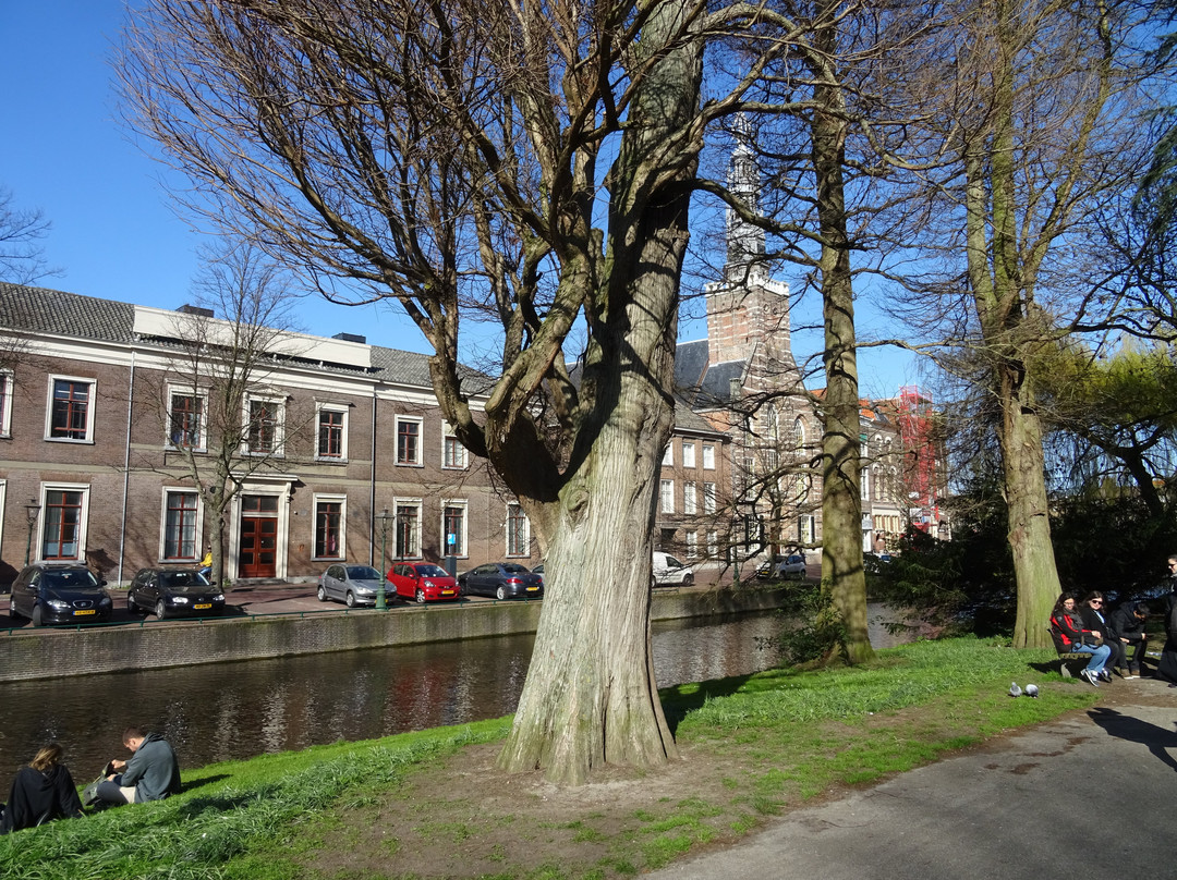 Van der Werfpark景点图片