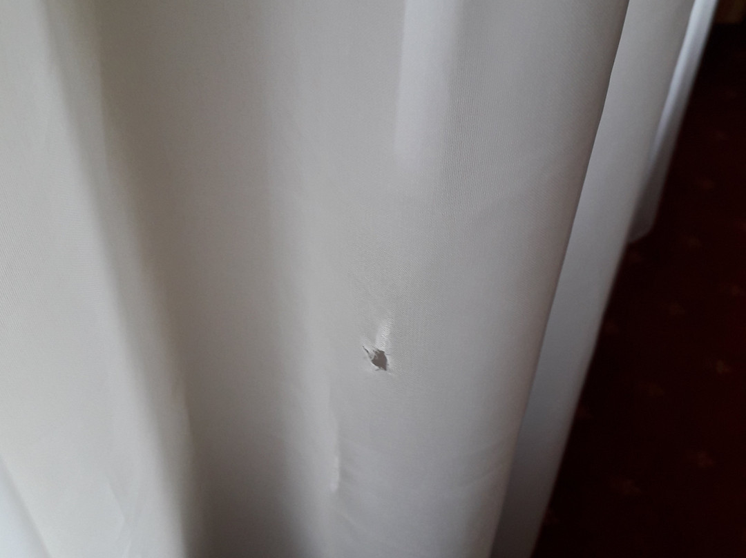 Vitalhotel Strobl主图