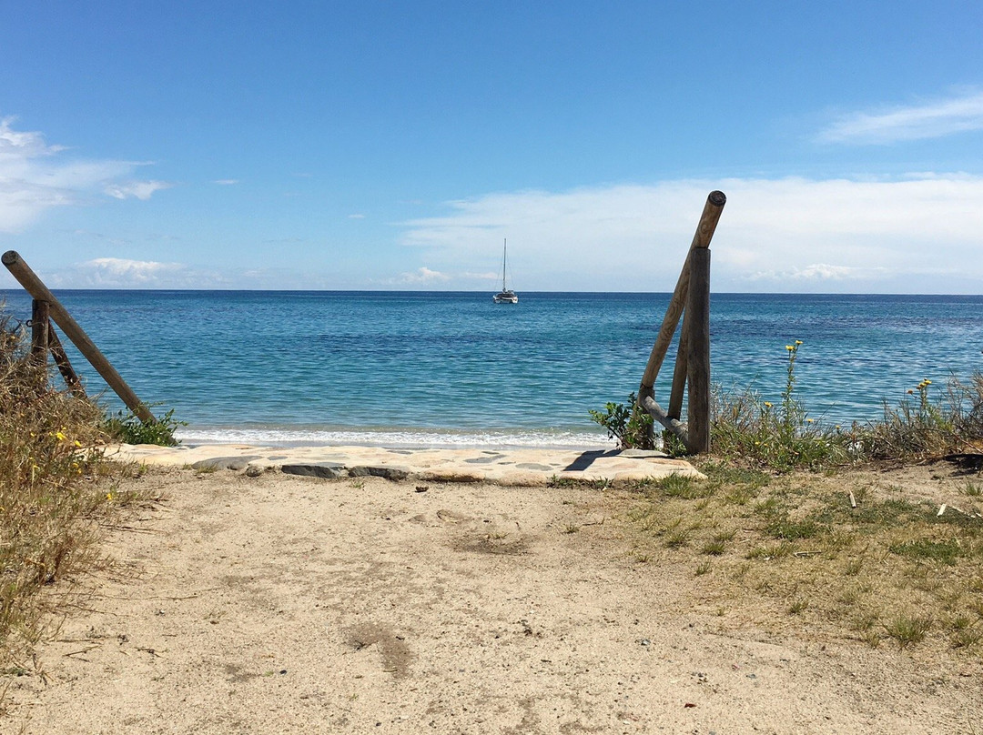 Spiaggia dei Fichi景点图片