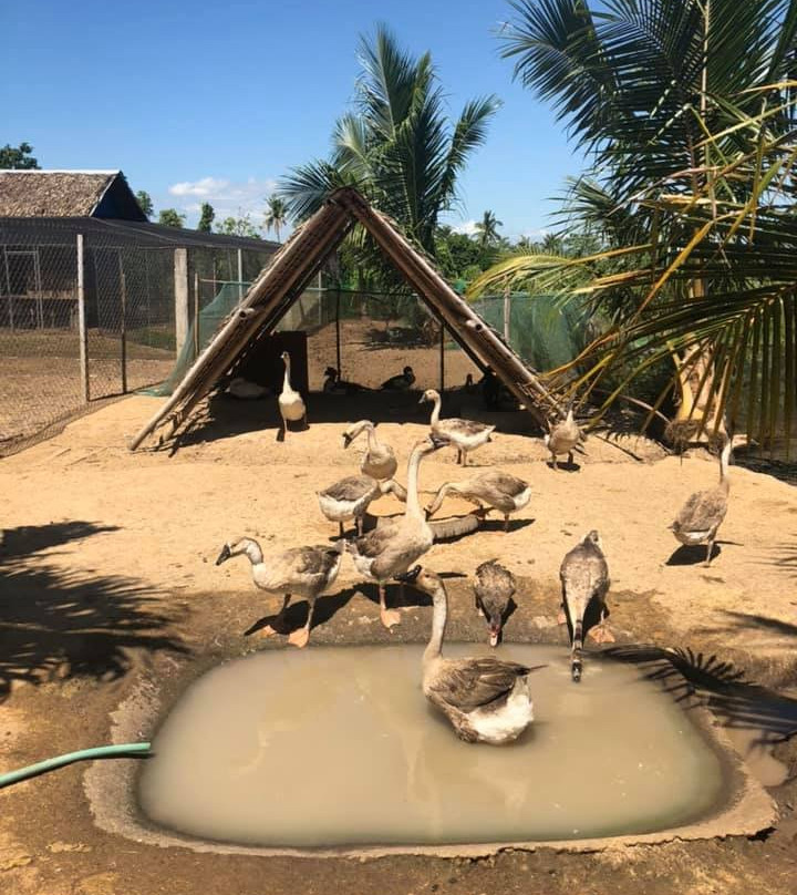 Sonrisa Farm景点图片