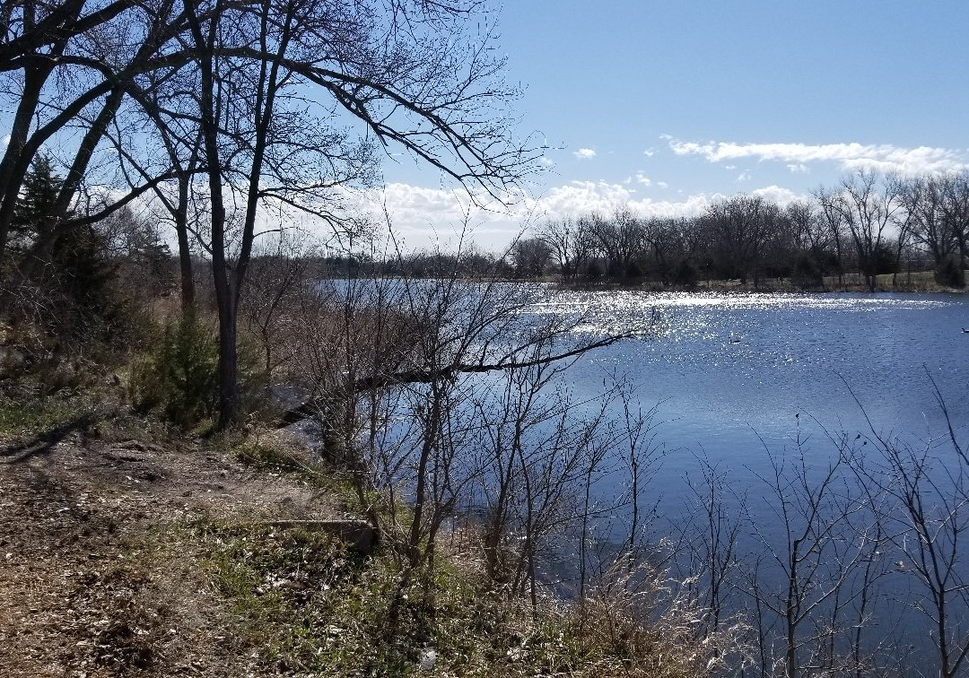 L.E Ray dog park-格兰德岛必去景点