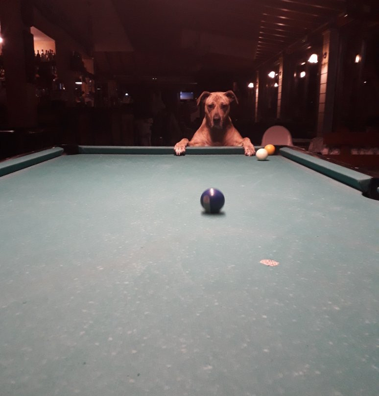 Cristobal Sports & Music Pub Sa Coma-萨可马必去景点