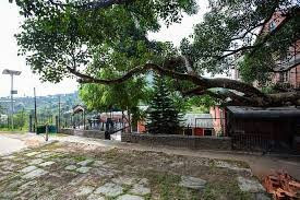 Bandipur Eco Hotel