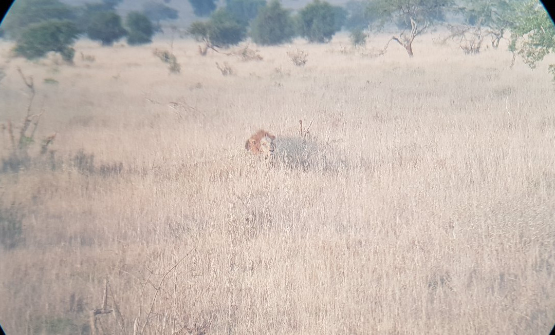 Costo Tours & Adventure Activities - Day Tours-蒙巴萨必去景点