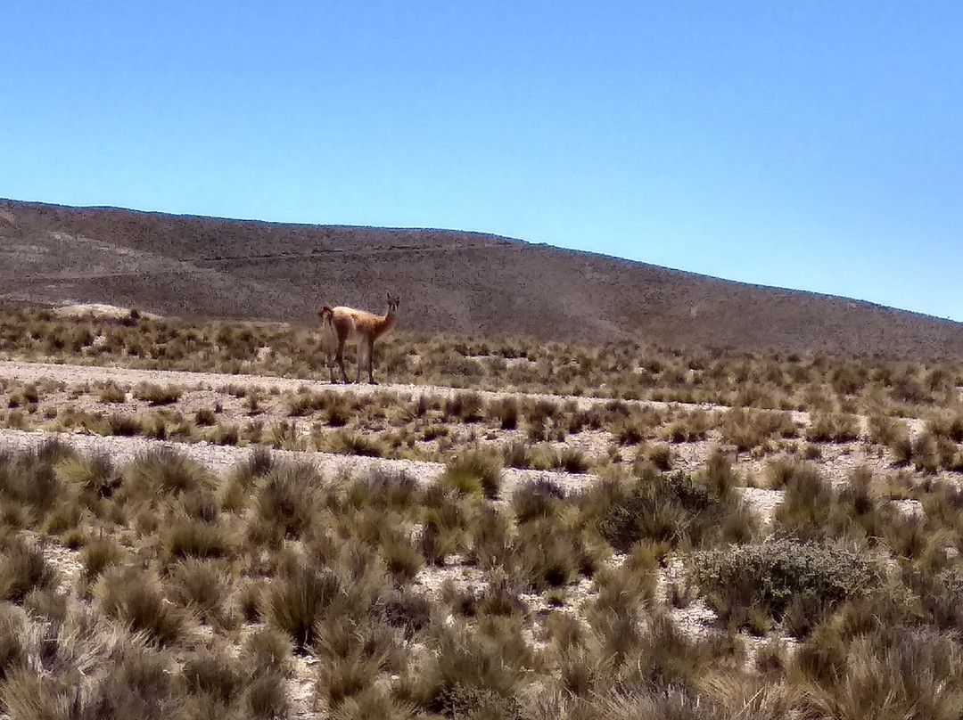 Cruz del Paramillos-乌斯帕亚塔必去景点