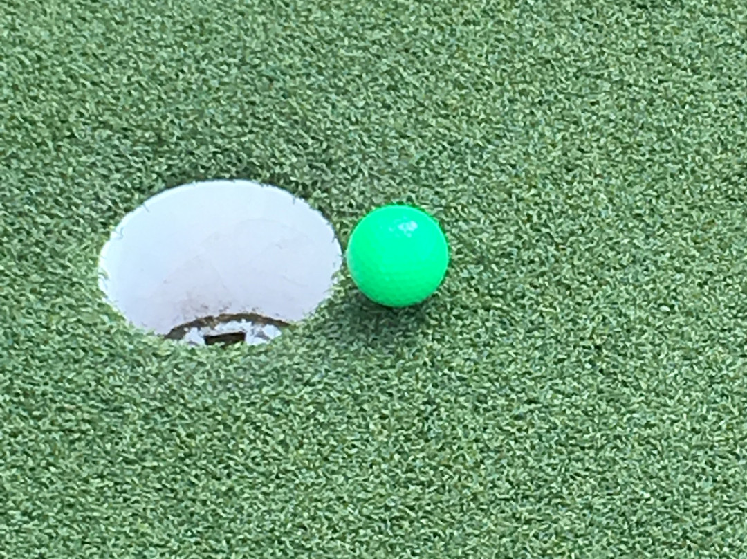 Congo River Mini Golf-霍夫曼庄园必去景点