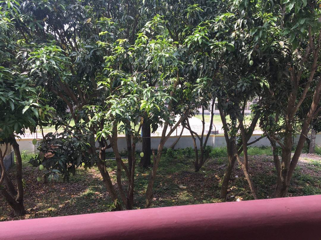 Parjatan Motel主图