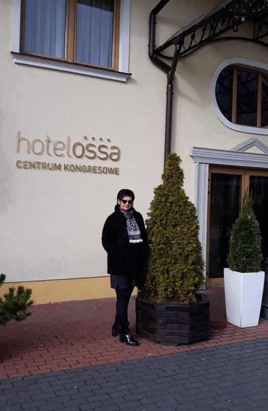 Hotel Ossa Conference & SPA主图