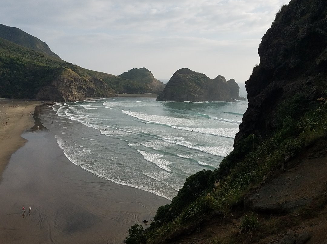 Piha Ocean Lookout主图