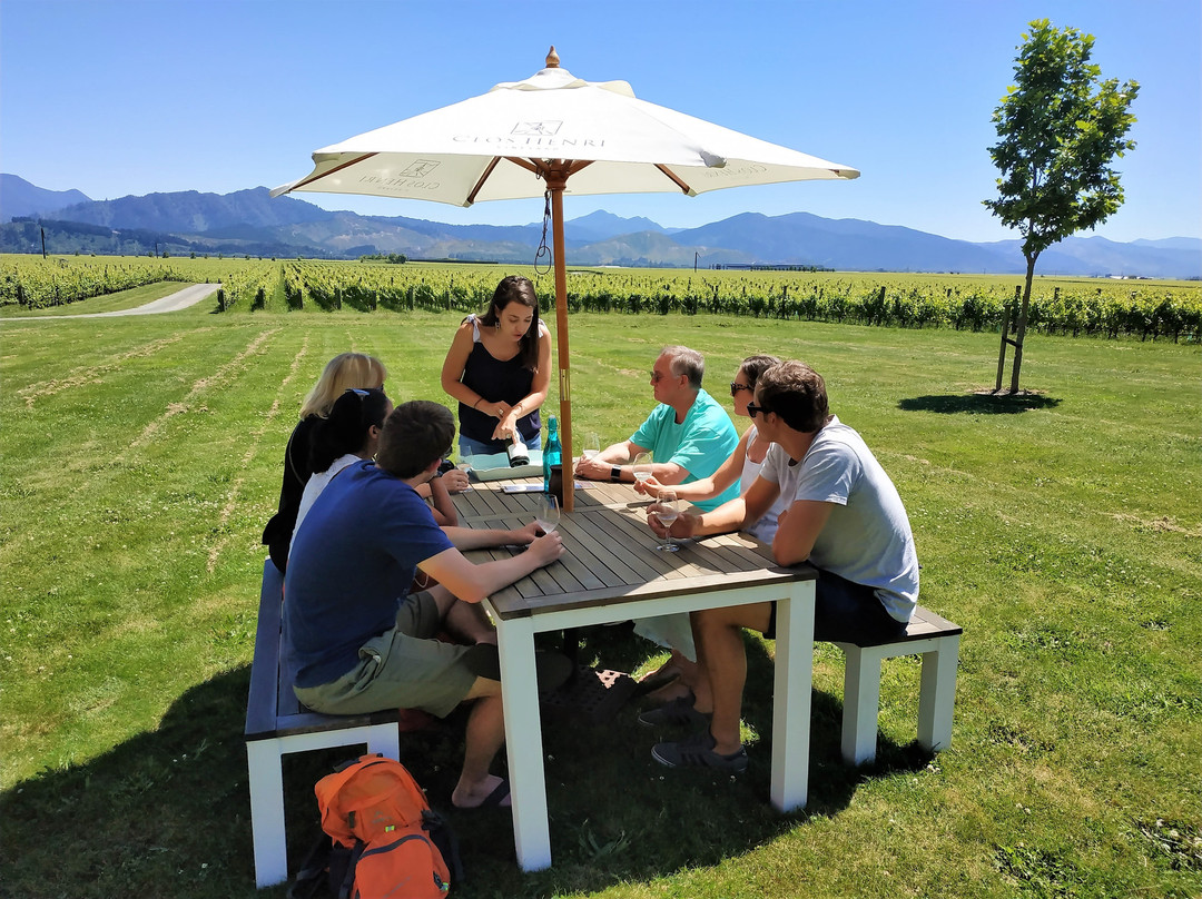 Discovery Wine Tours-布伦海姆必去景点