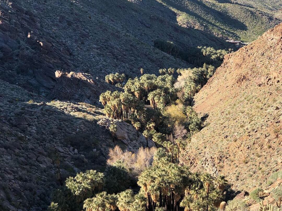Indian Canyons Hiking Trails景点图片