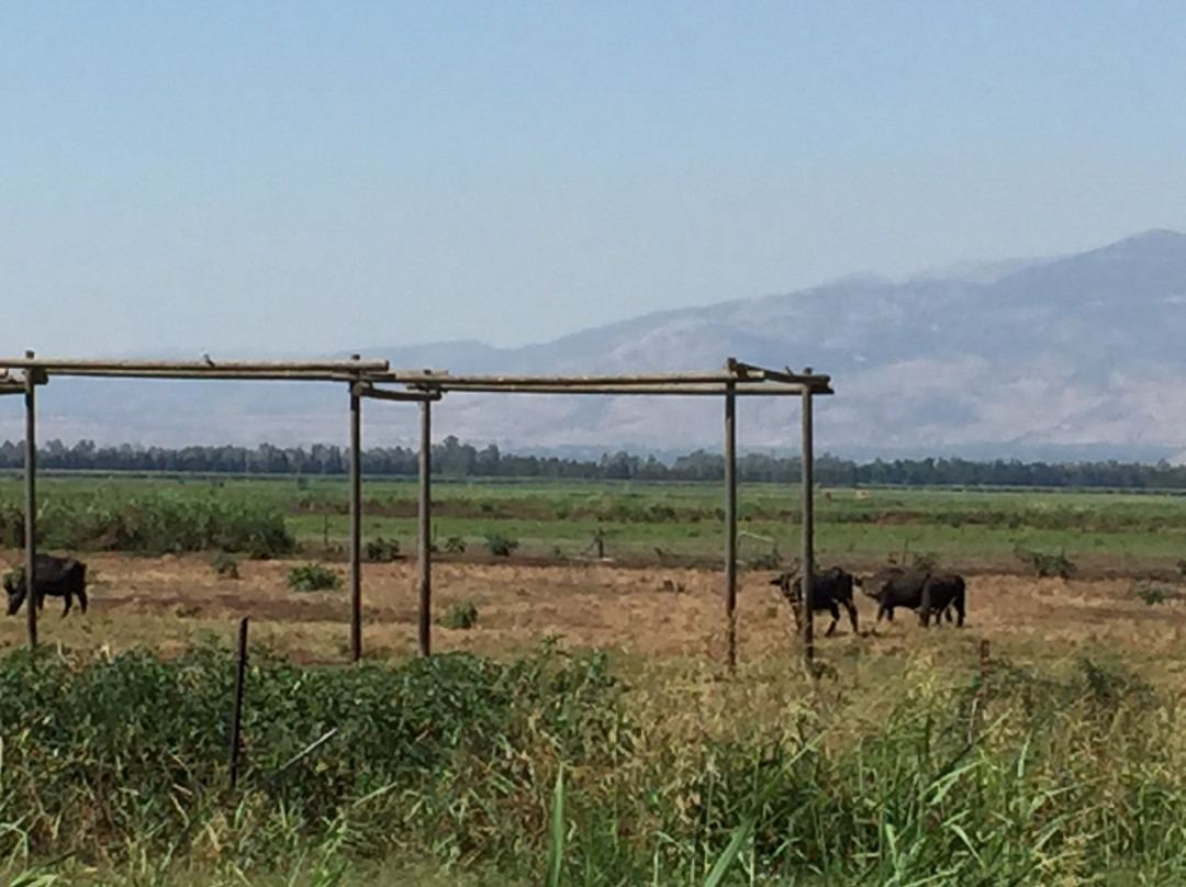 Hula Nature Reserve-加利利必去景点