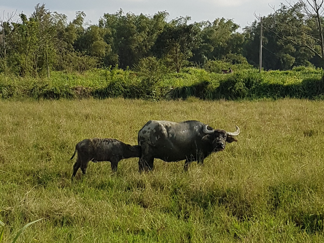 New Destination Homestay主图