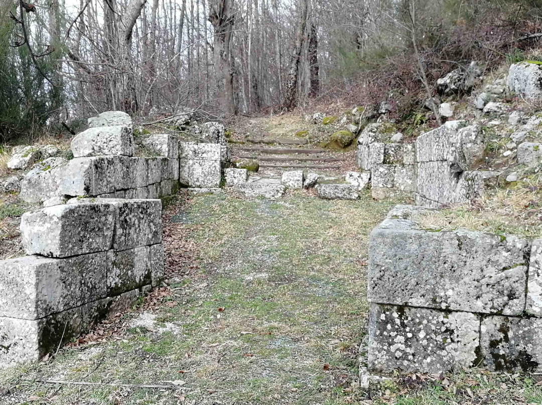 Parco archeologico della Civitella景点图片