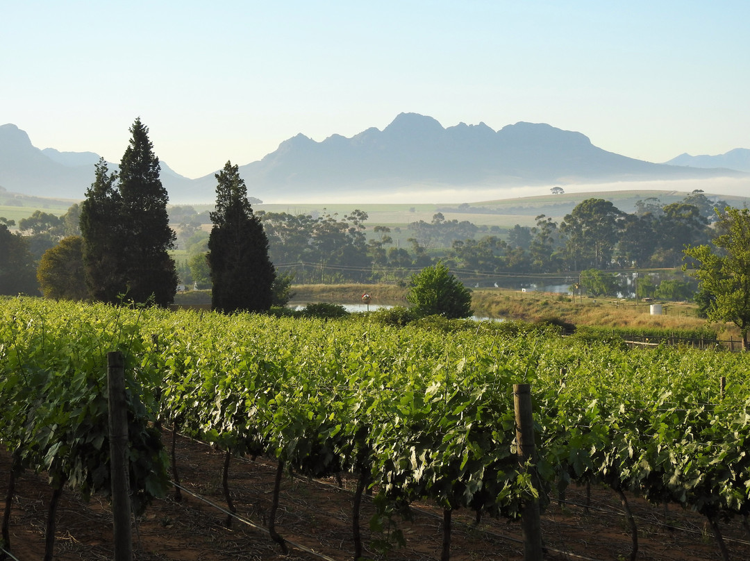 Devon Valley Hotel主图