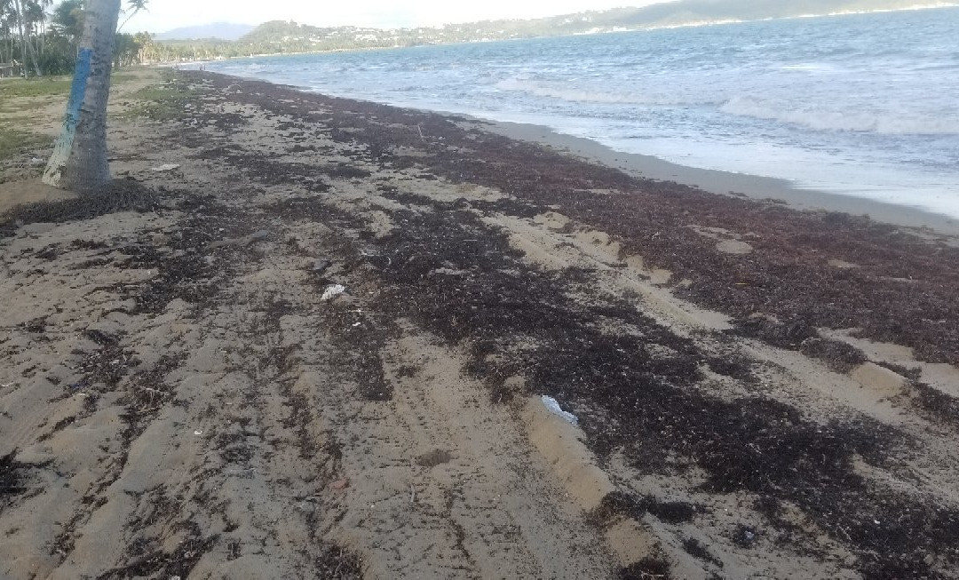 Playa Lucia景点图片