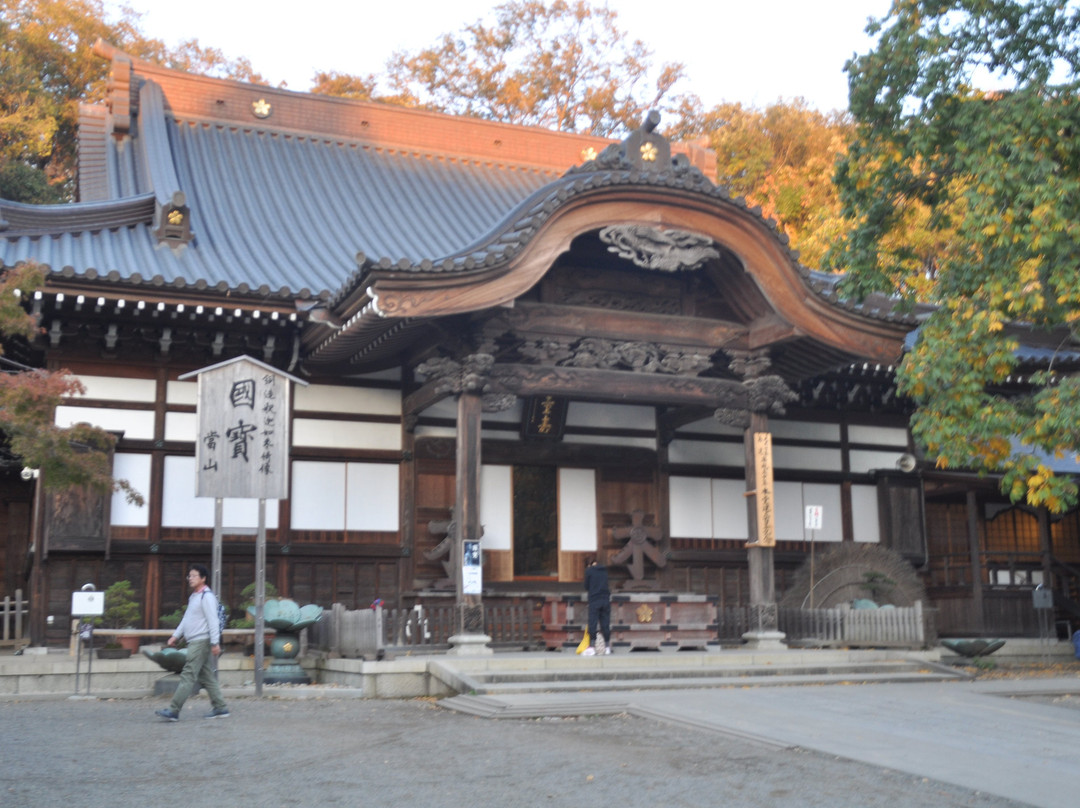 Jindai-ji Temple Hondo-调布市必去景点