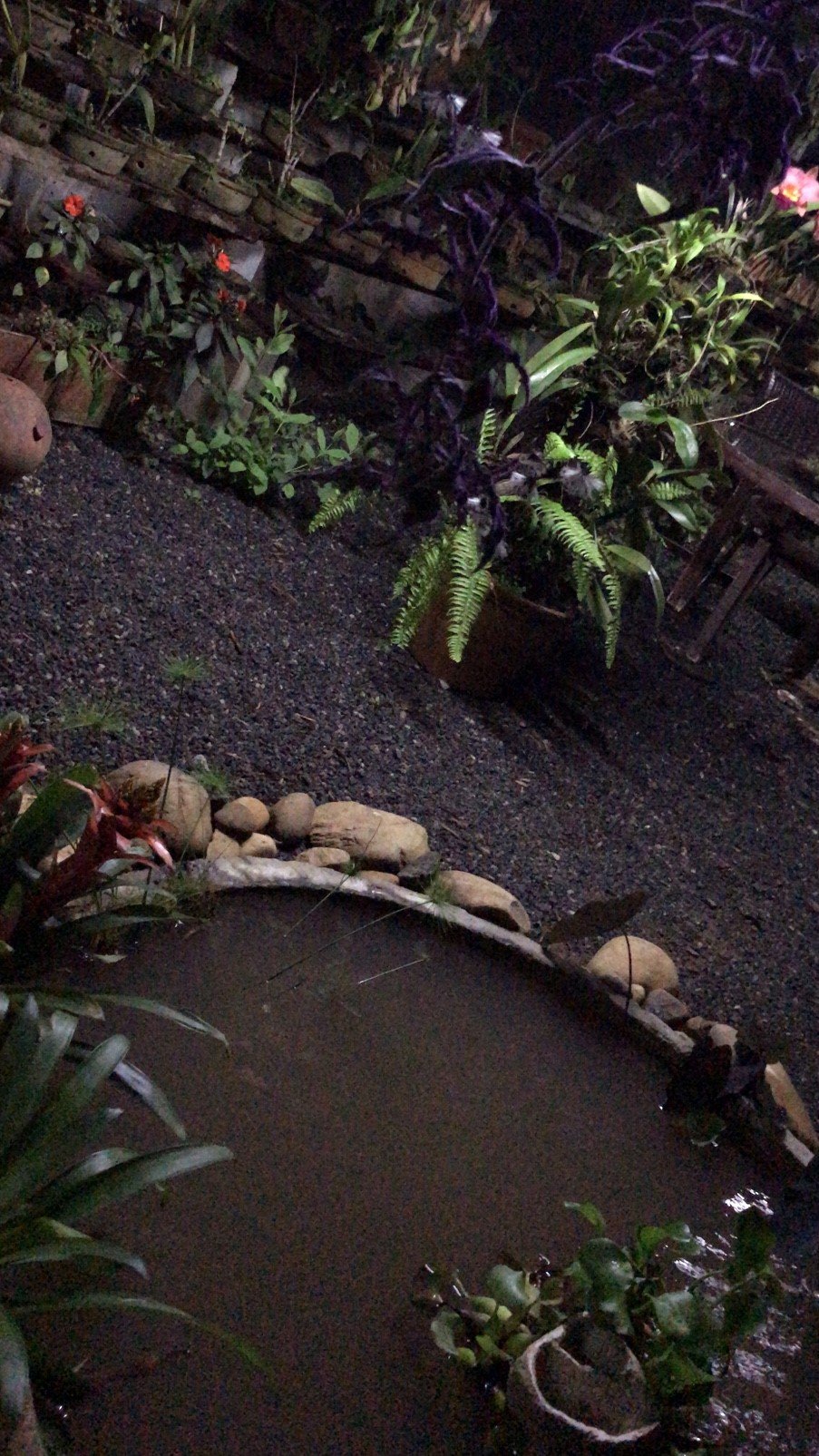 Orquidea Cafe-浴室