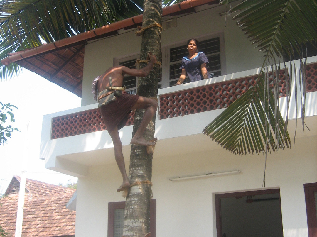 Achayans Homestay主图