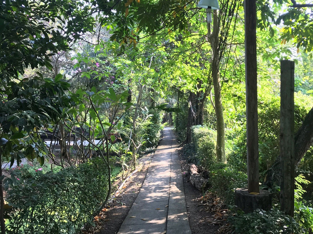 Bangkok By Bike-曼谷必去景点
