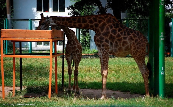 Almaty Guide Tours-阿拉木图必去景点