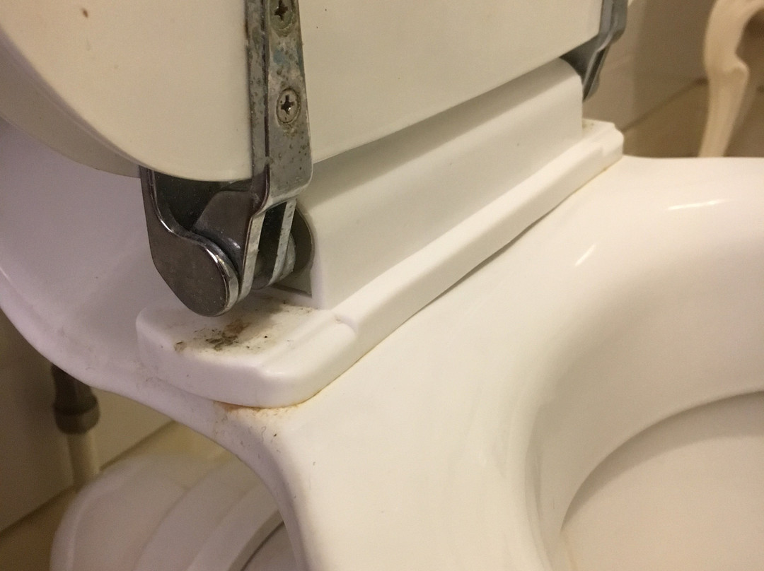 Pen-y Bryn Guest House主图