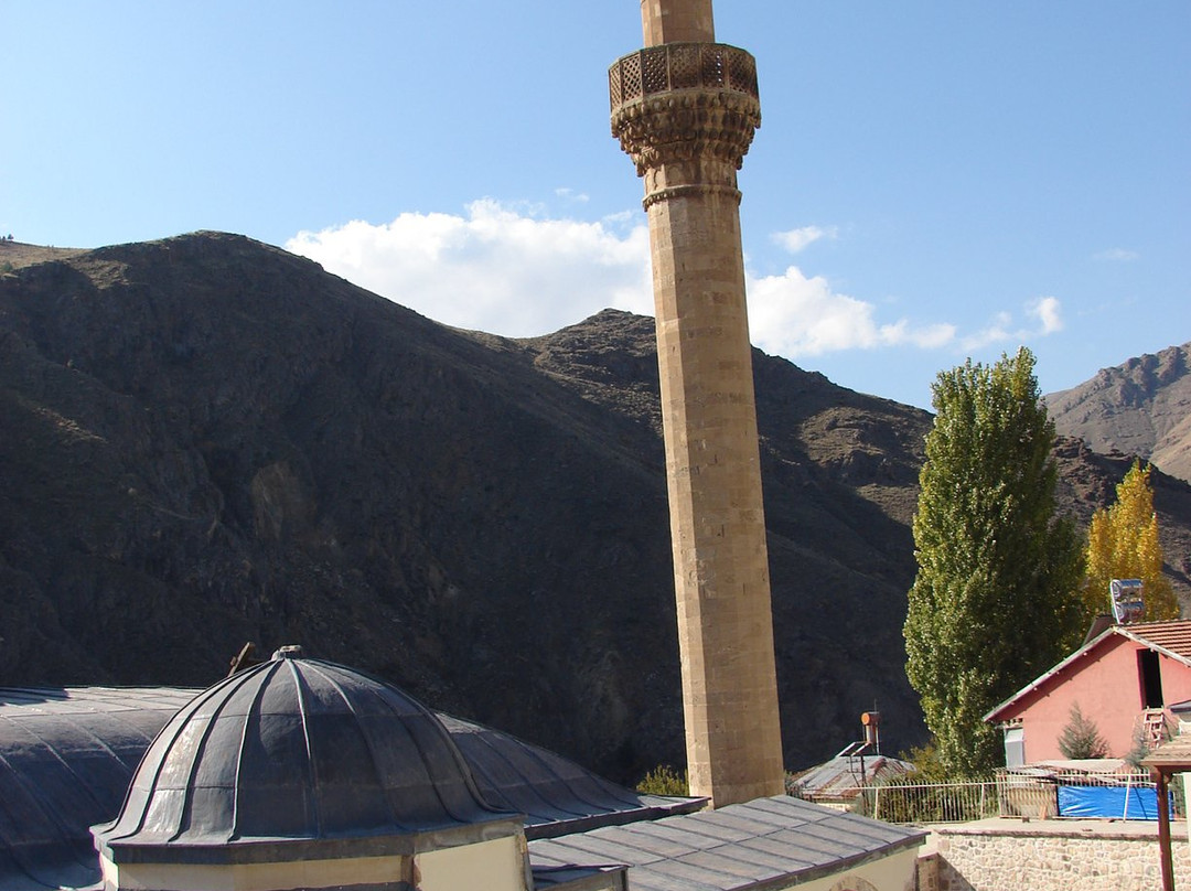 Yusuf Ziya Pasa Kulliyesi-Elazig必去景点