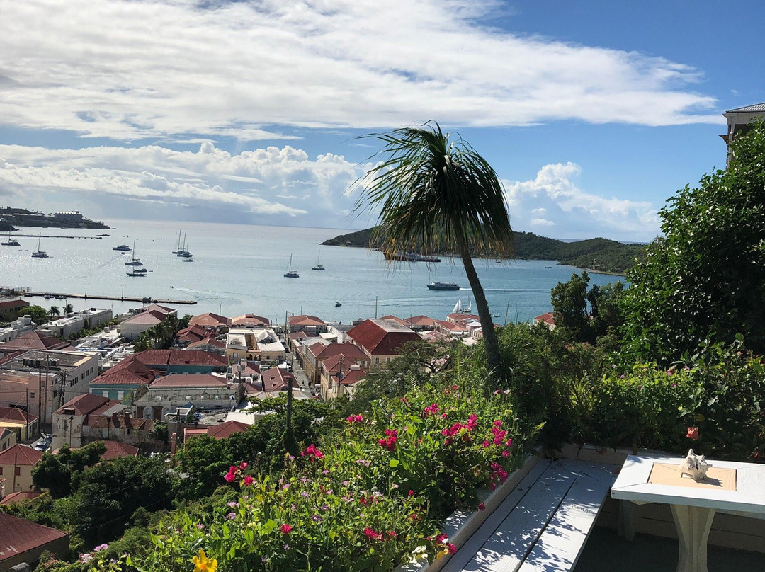 Bellavista Bed & Breakfast主图