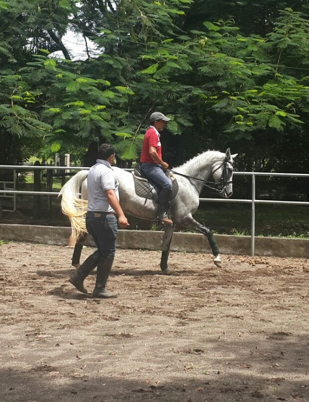 Casagua Horses Tours景点图片