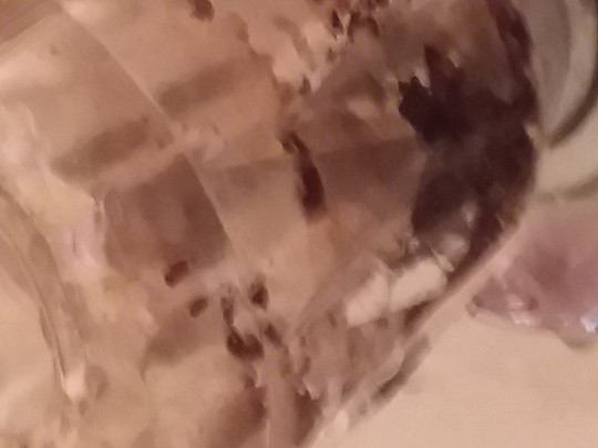 Sands Beach Club Resort主图