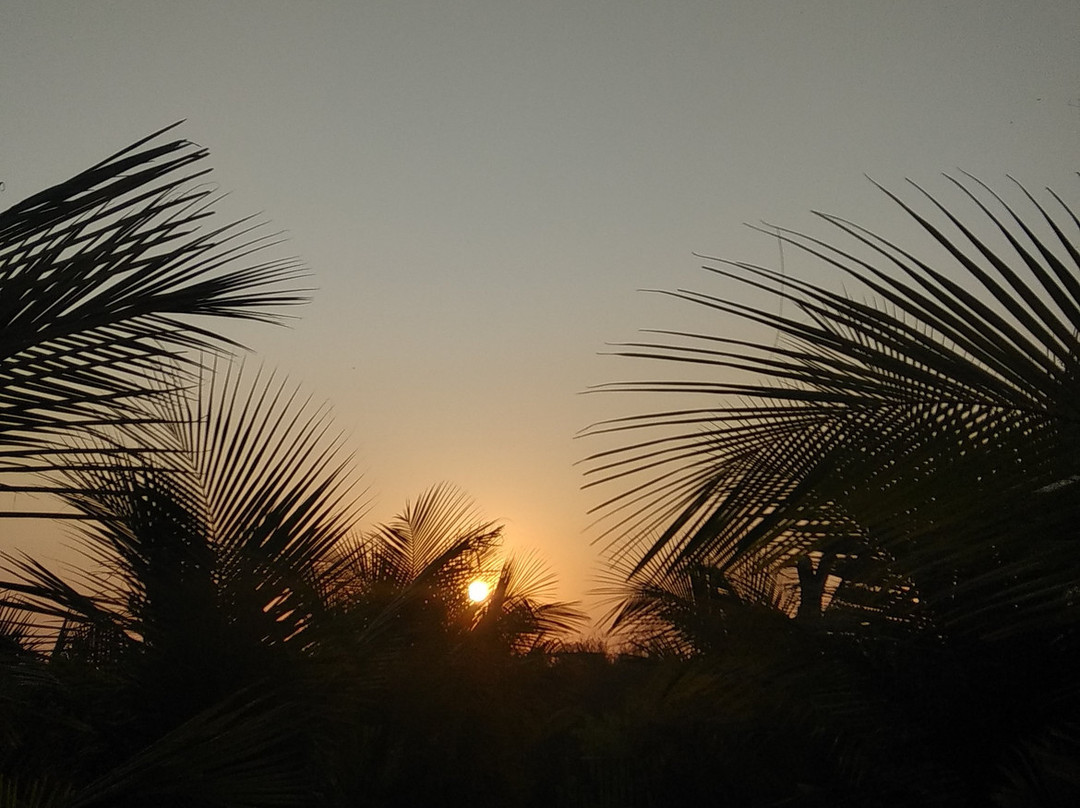 Whistling Waves Beach Resort & Camping主图