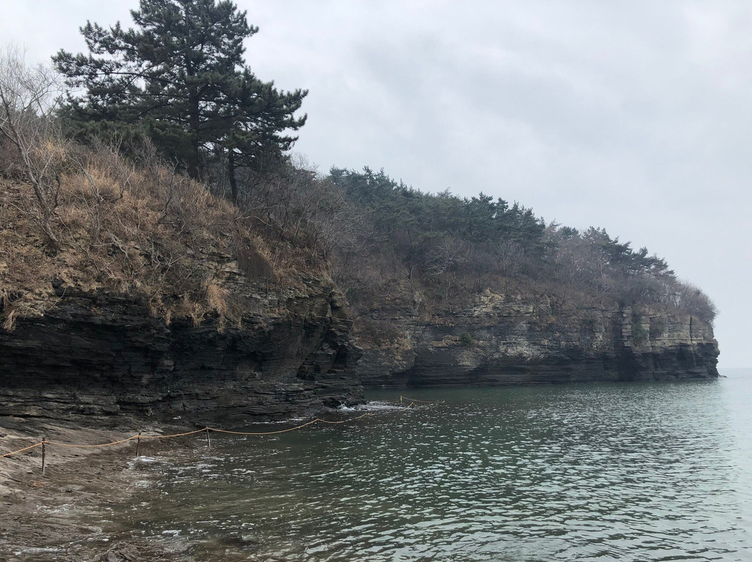 Gyeokpohang Fish Market-扶安郡必去景点