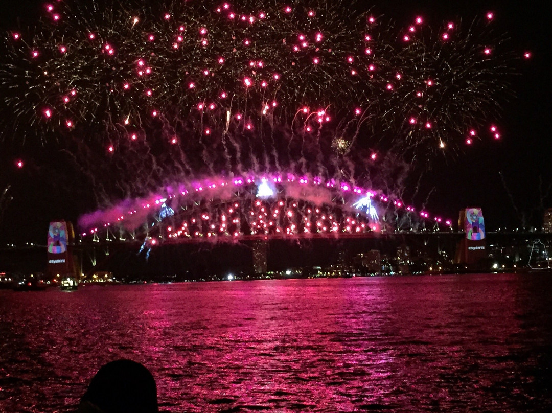 Oz Jet Boating Sydney Harbour景点图片