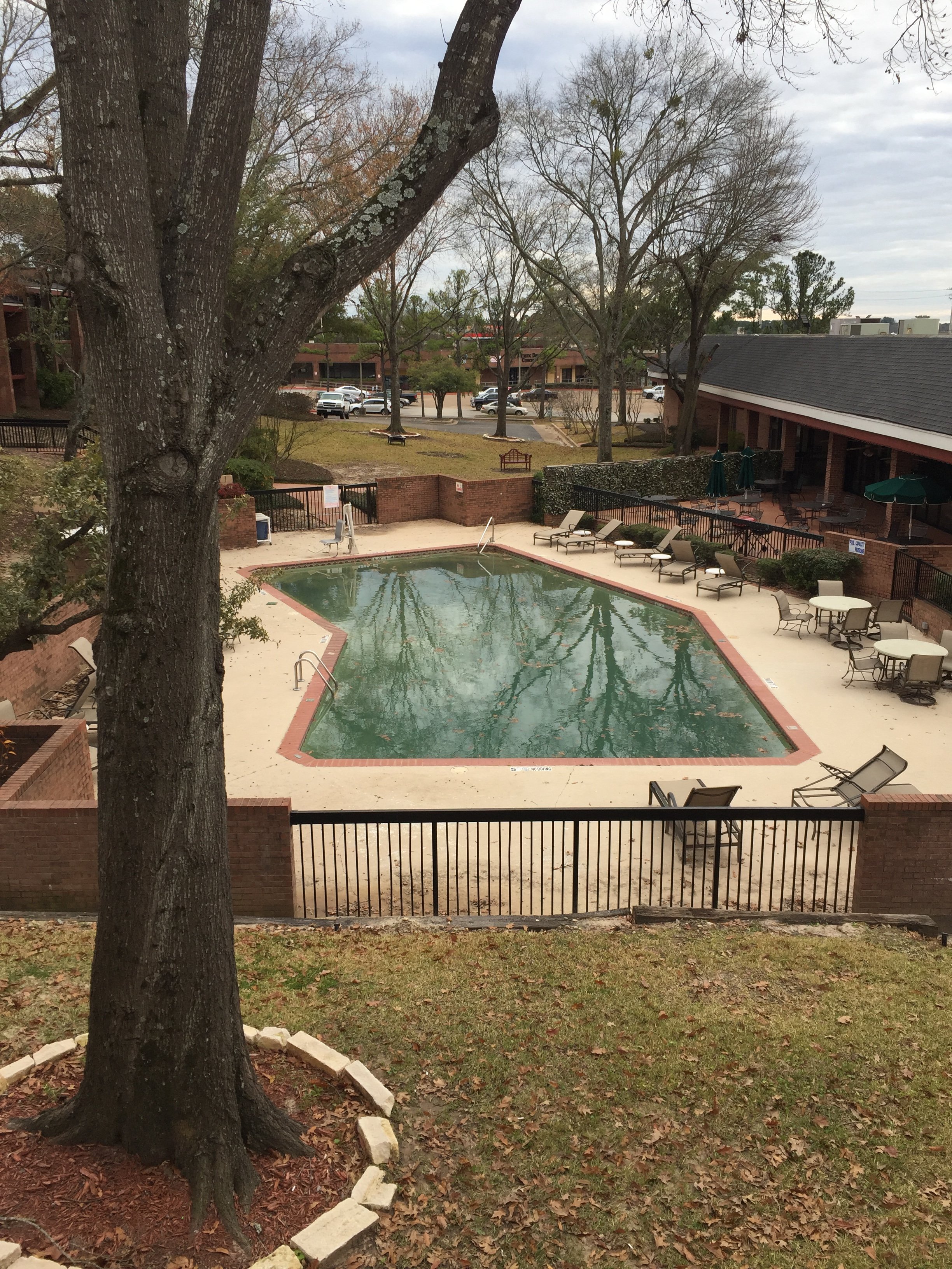 Magnuson Grand Hotel and Conference Center - Tyler-酒店景观