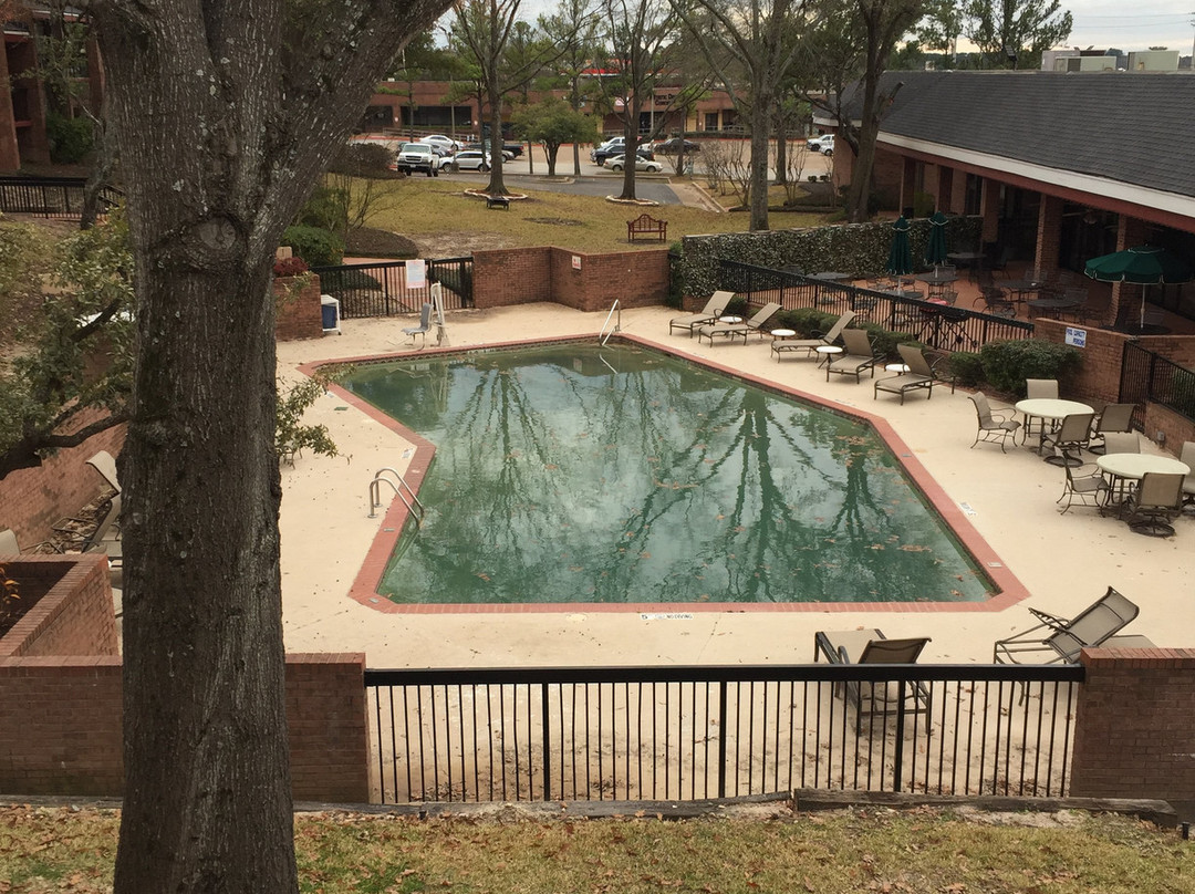 Magnuson Grand Hotel and Conference Center - Tyler主图