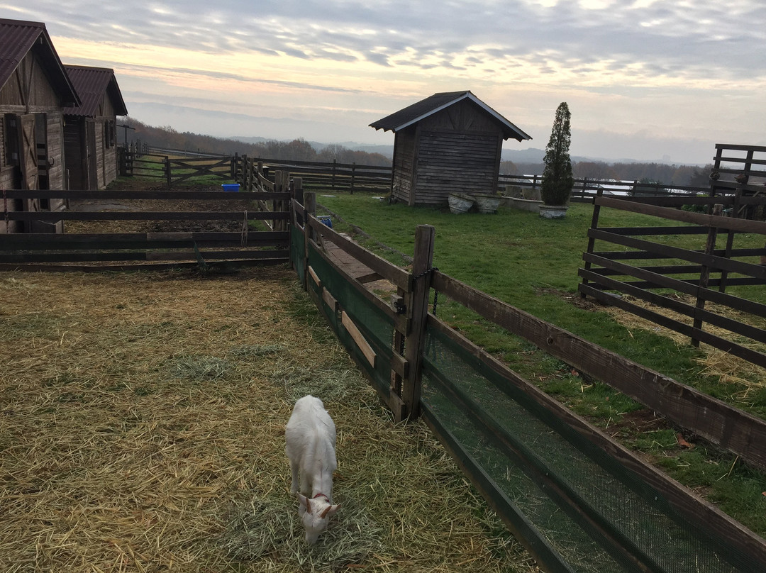那须费罗拉雄酒店主图