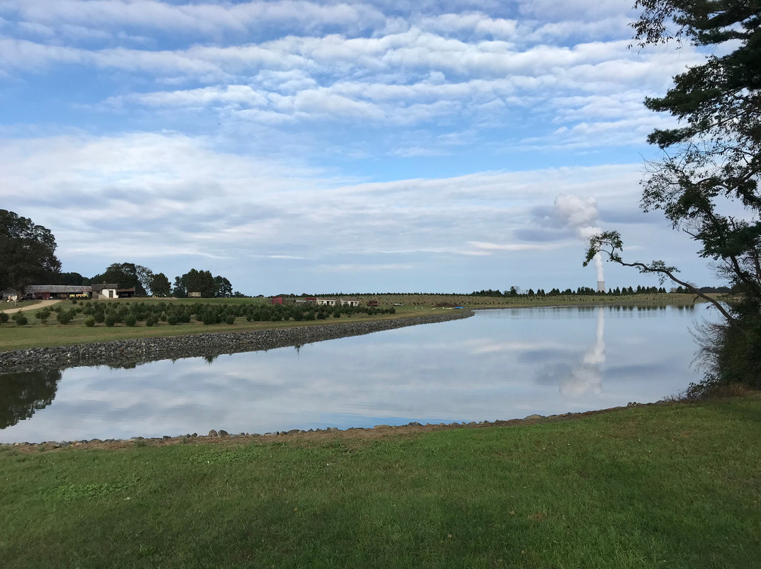 Coleman's Christmas Tree Farm-Middletown必去景点