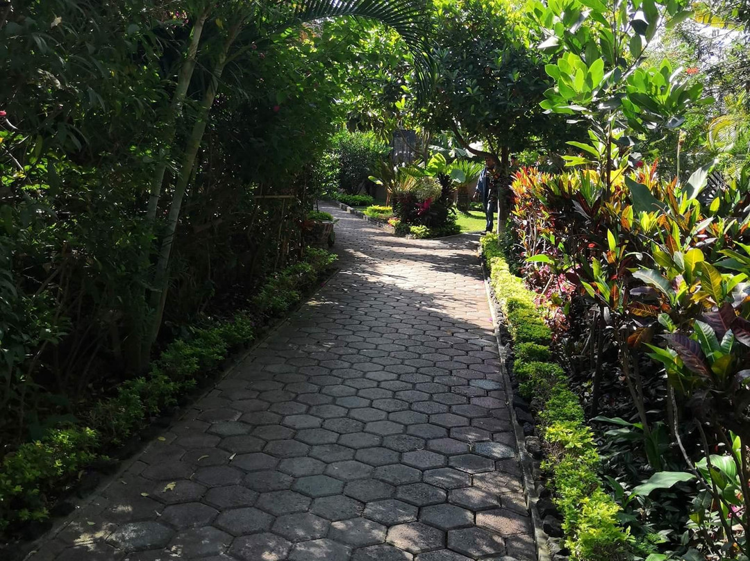 Bungalows Zoviq主图