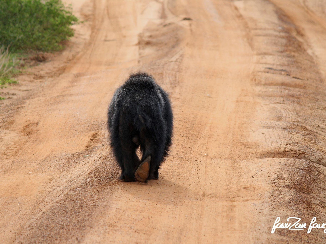 Elysian Lanka Travels-Ratnapura必去景点