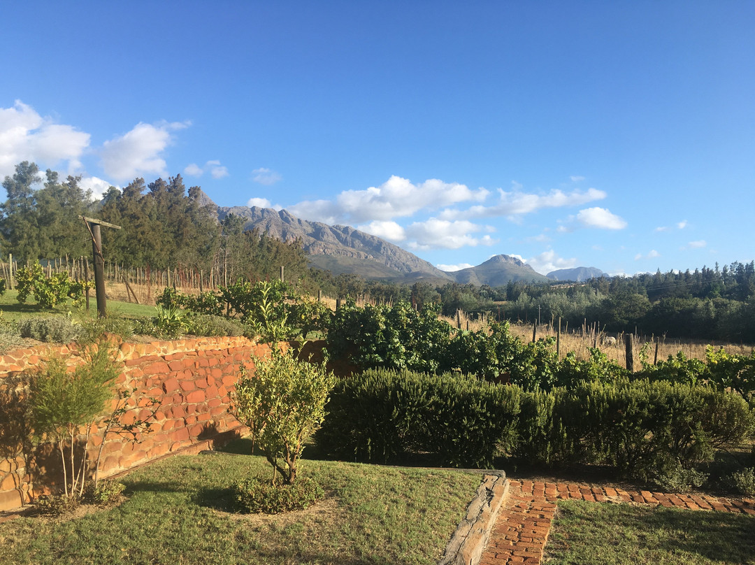 Oude Wellington Estate主图