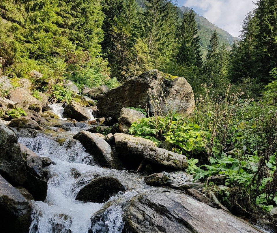 Romaniac Tours-布加勒斯特必去景点