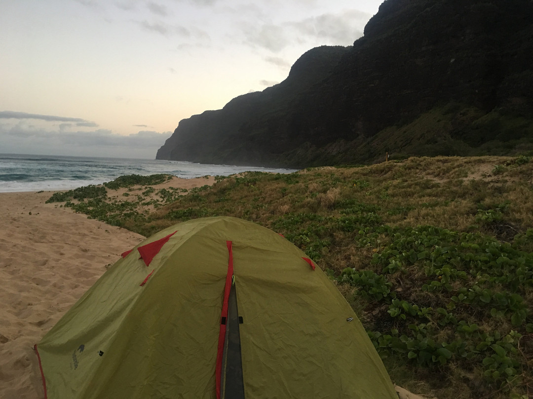 Aloha 'n Paradise Espresso Bar-威美亚必去景点