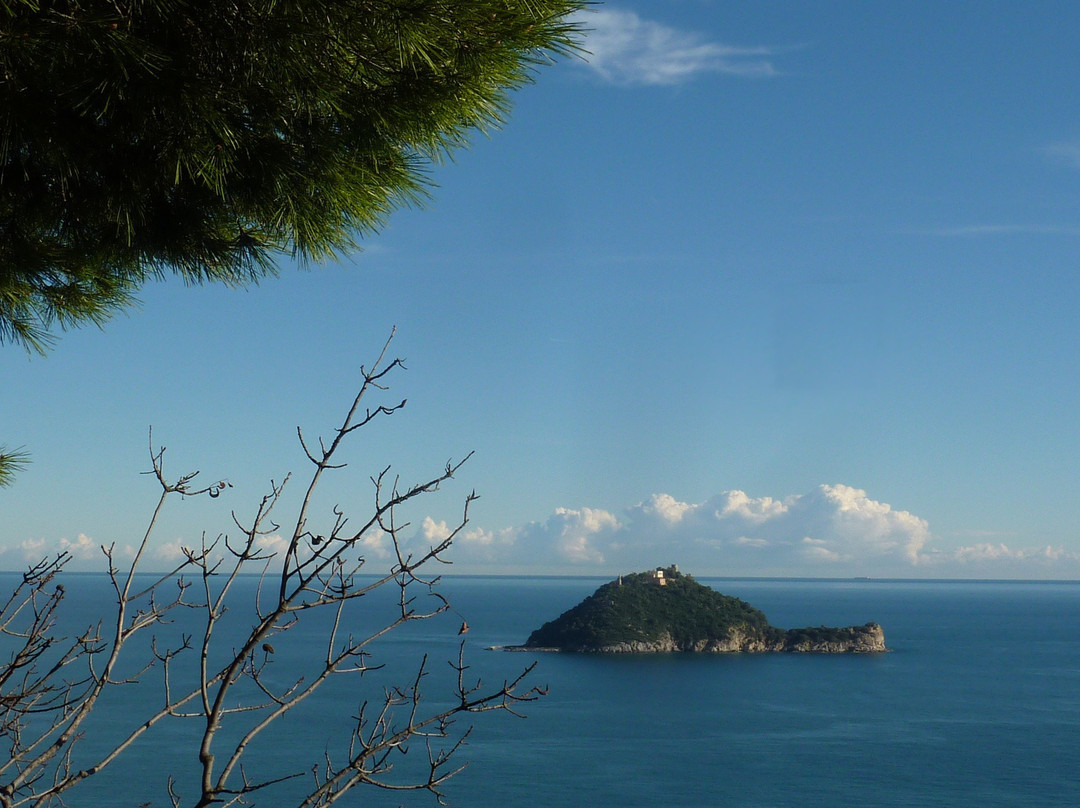 Isola Gallinara Tour-Andora必去景点