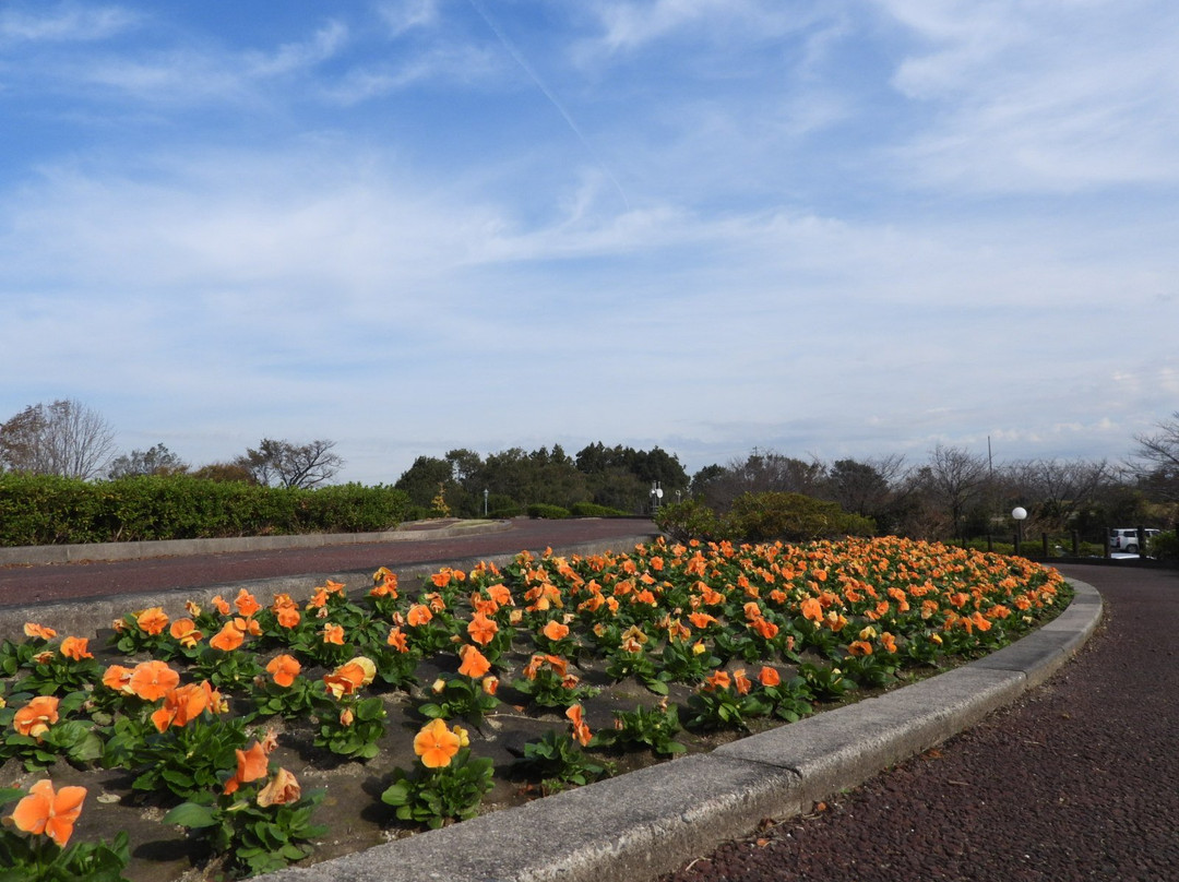 Suzuka Flower Park-铃鹿市必去景点