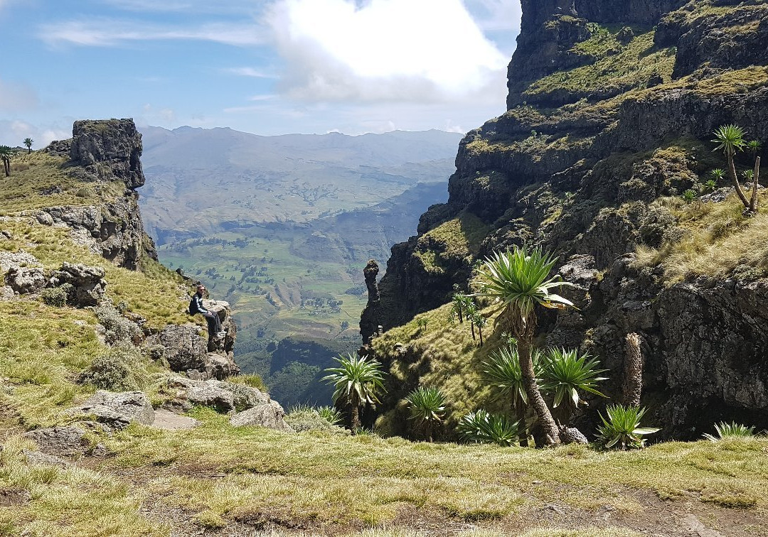 Simien Mountains Outstanding Nature Tours-Debark必去景点
